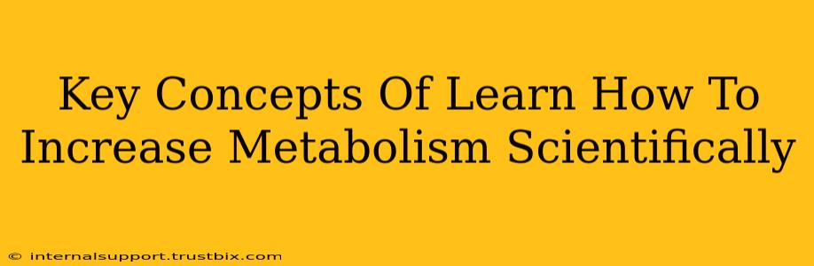 Key Concepts Of Learn How To Increase Metabolism Scientifically