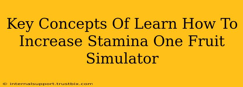 Key Concepts Of Learn How To Increase Stamina One Fruit Simulator