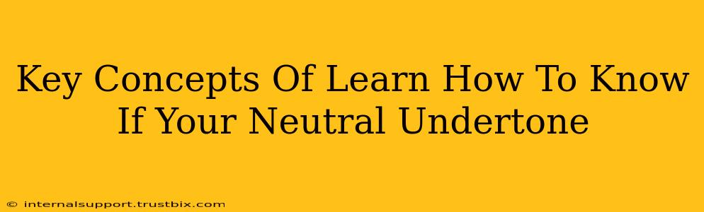 Key Concepts Of Learn How To Know If Your Neutral Undertone