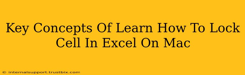 Key Concepts Of Learn How To Lock Cell In Excel On Mac