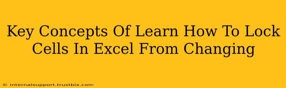 Key Concepts Of Learn How To Lock Cells In Excel From Changing