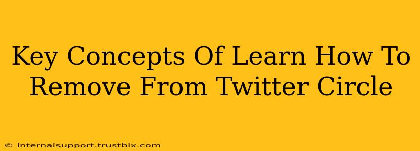 Key Concepts Of Learn How To Remove From Twitter Circle