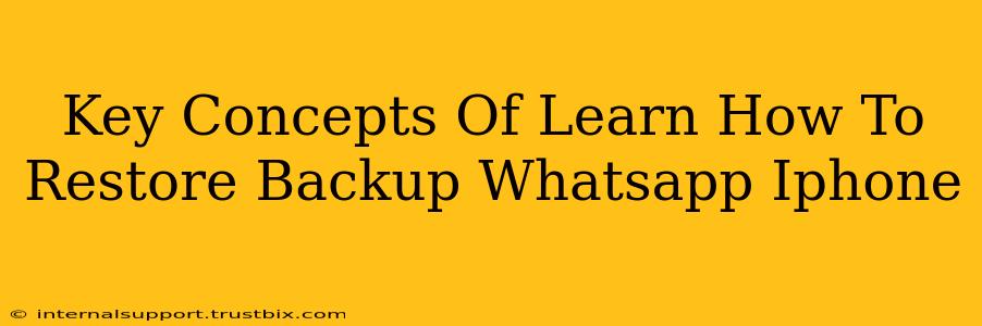 Key Concepts Of Learn How To Restore Backup Whatsapp Iphone