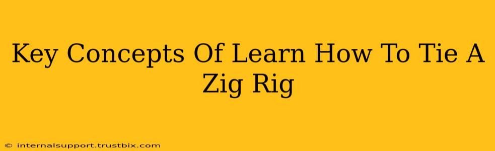 Key Concepts Of Learn How To Tie A Zig Rig