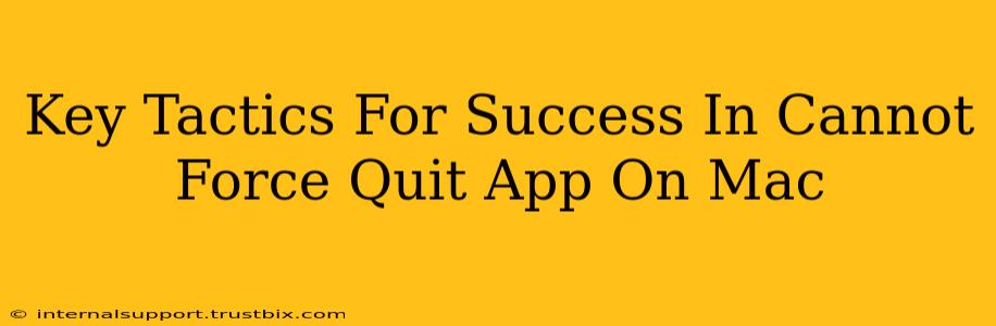 Key Tactics For Success In Cannot Force Quit App On Mac