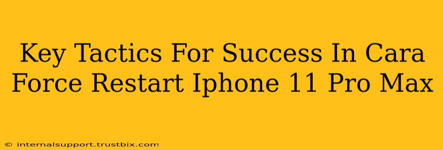 Key Tactics For Success In Cara Force Restart Iphone 11 Pro Max