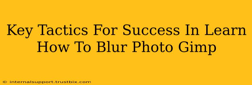 Key Tactics For Success In Learn How To Blur Photo Gimp