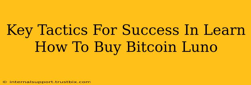 Key Tactics For Success In Learn How To Buy Bitcoin Luno