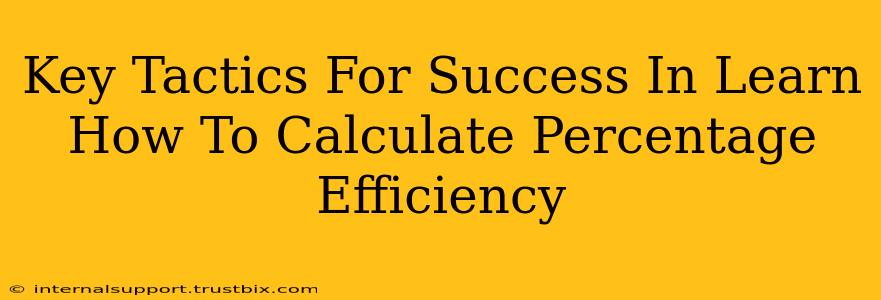 Key Tactics For Success In Learn How To Calculate Percentage Efficiency