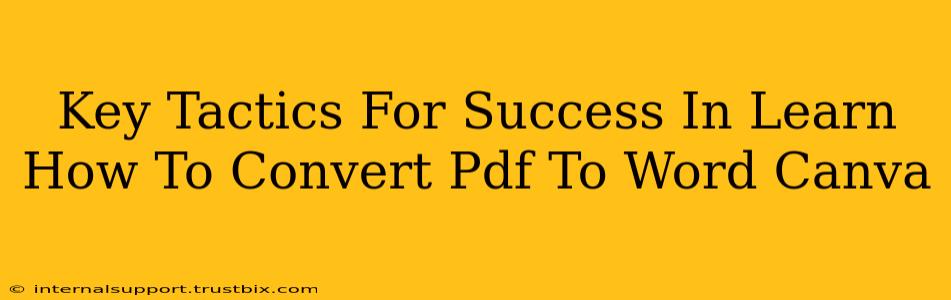 Key Tactics For Success In Learn How To Convert Pdf To Word Canva