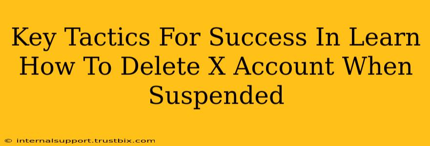 Key Tactics For Success In Learn How To Delete X Account When Suspended