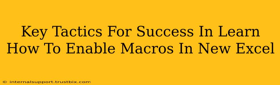 Key Tactics For Success In Learn How To Enable Macros In New Excel