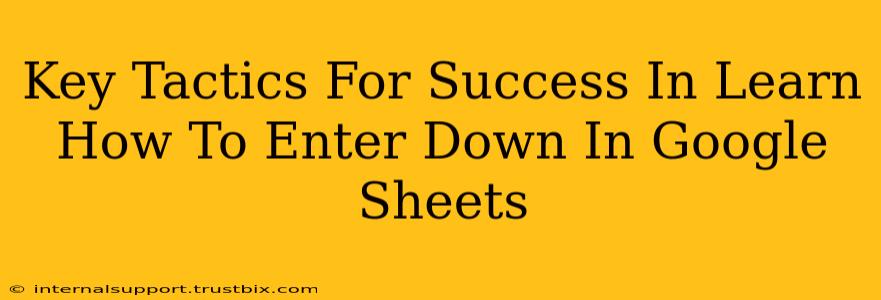 Key Tactics For Success In Learn How To Enter Down In Google Sheets