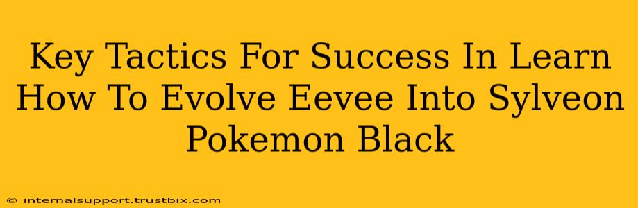 Key Tactics For Success In Learn How To Evolve Eevee Into Sylveon Pokemon Black