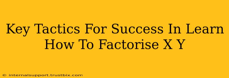 Key Tactics For Success In Learn How To Factorise X Y