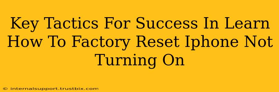 Key Tactics For Success In Learn How To Factory Reset Iphone Not Turning On