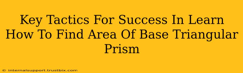 Key Tactics For Success In Learn How To Find Area Of Base Triangular Prism