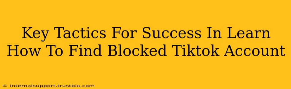 Key Tactics For Success In Learn How To Find Blocked Tiktok Account