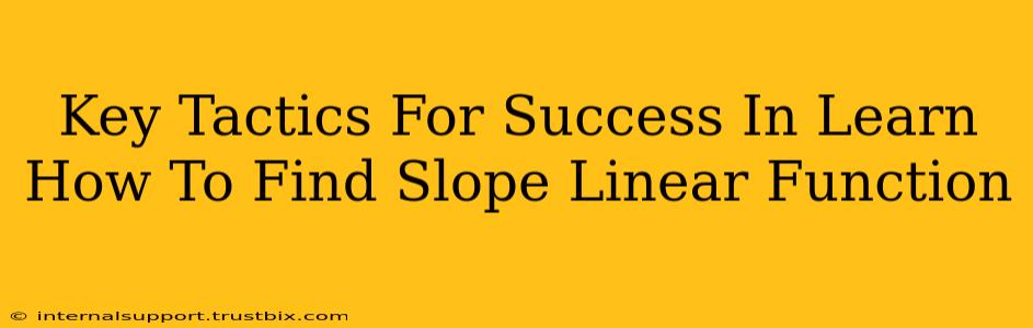 Key Tactics For Success In Learn How To Find Slope Linear Function