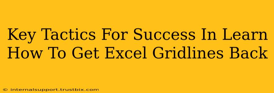 Key Tactics For Success In Learn How To Get Excel Gridlines Back