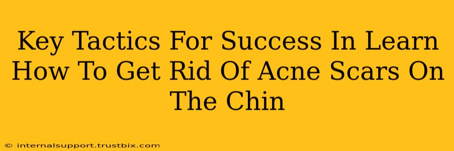 Key Tactics For Success In Learn How To Get Rid Of Acne Scars On The Chin