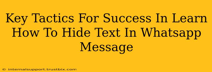 Key Tactics For Success In Learn How To Hide Text In Whatsapp Message