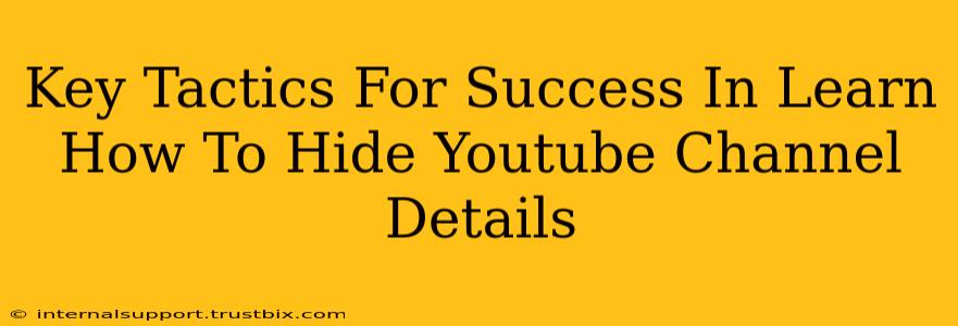 Key Tactics For Success In Learn How To Hide Youtube Channel Details