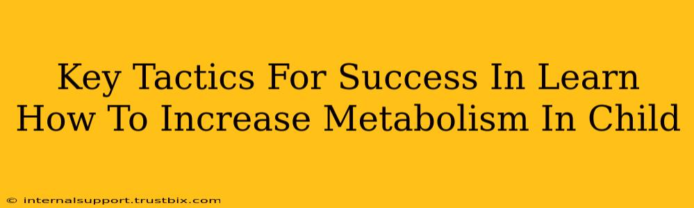 Key Tactics For Success In Learn How To Increase Metabolism In Child