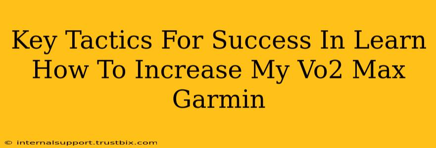 Key Tactics For Success In Learn How To Increase My Vo2 Max Garmin