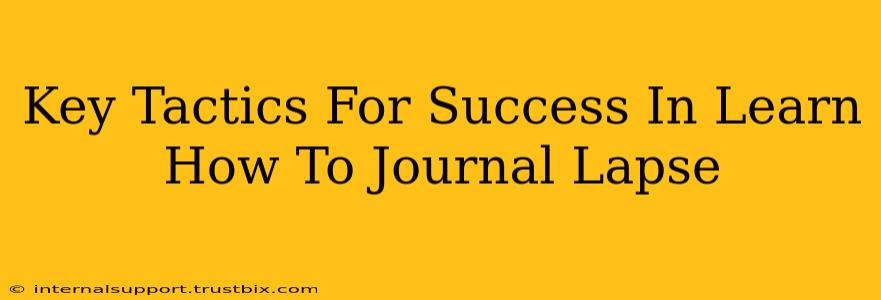 Key Tactics For Success In Learn How To Journal Lapse