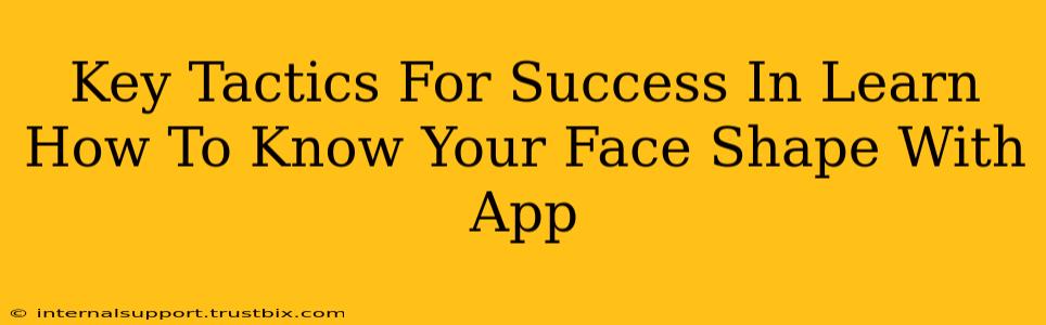 Key Tactics For Success In Learn How To Know Your Face Shape With App