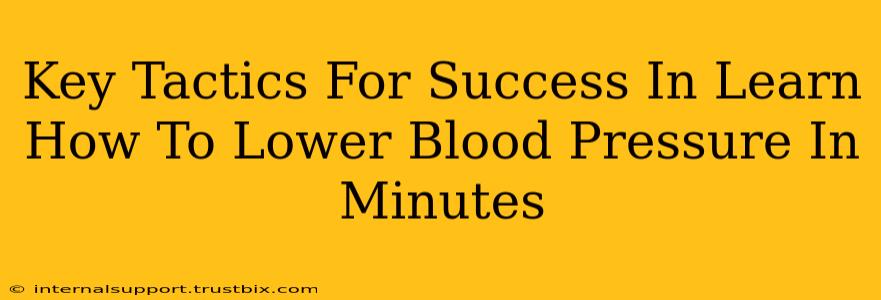 Key Tactics For Success In Learn How To Lower Blood Pressure In Minutes