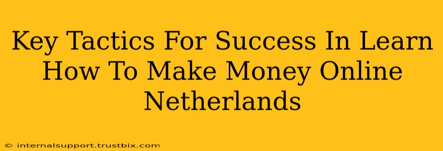 Key Tactics For Success In Learn How To Make Money Online Netherlands