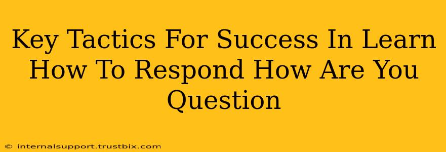 Key Tactics For Success In Learn How To Respond How Are You Question