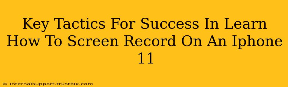 Key Tactics For Success In Learn How To Screen Record On An Iphone 11