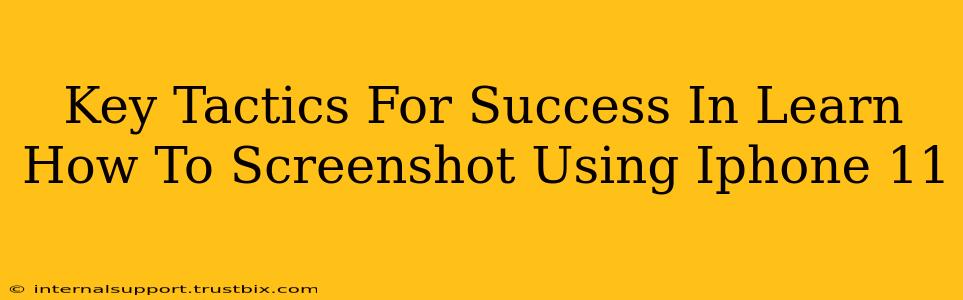 Key Tactics For Success In Learn How To Screenshot Using Iphone 11