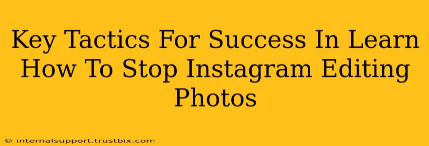 Key Tactics For Success In Learn How To Stop Instagram Editing Photos