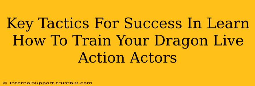 Key Tactics For Success In Learn How To Train Your Dragon Live Action Actors