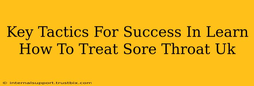 Key Tactics For Success In Learn How To Treat Sore Throat Uk