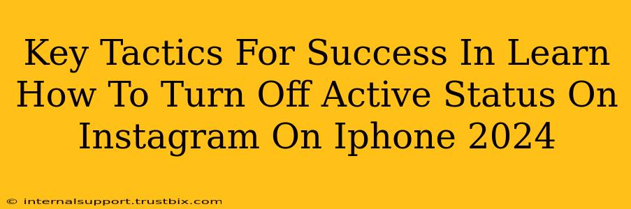 Key Tactics For Success In Learn How To Turn Off Active Status On Instagram On Iphone 2024