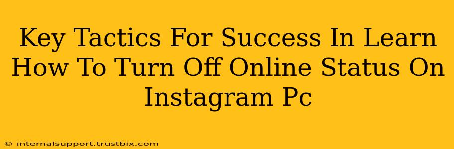 Key Tactics For Success In Learn How To Turn Off Online Status On Instagram Pc