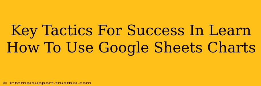 Key Tactics For Success In Learn How To Use Google Sheets Charts