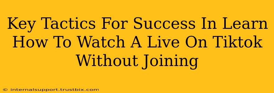 Key Tactics For Success In Learn How To Watch A Live On Tiktok Without Joining