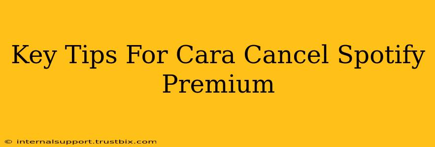 Key Tips For Cara Cancel Spotify Premium