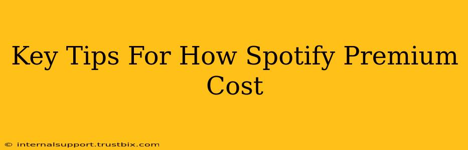 Key Tips For How Spotify Premium Cost