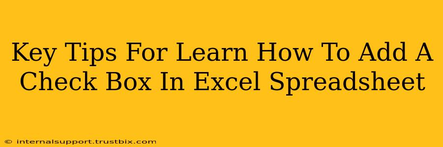 Key Tips For Learn How To Add A Check Box In Excel Spreadsheet