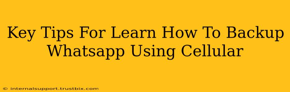 Key Tips For Learn How To Backup Whatsapp Using Cellular