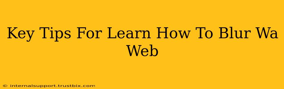 Key Tips For Learn How To Blur Wa Web