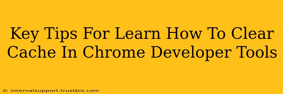 Key Tips For Learn How To Clear Cache In Chrome Developer Tools