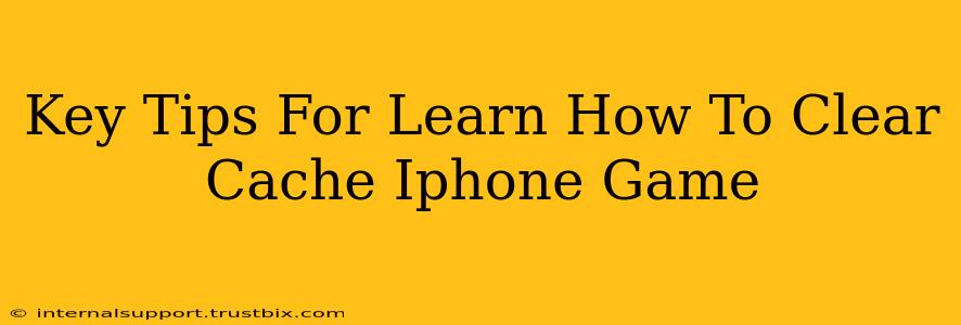 Key Tips For Learn How To Clear Cache Iphone Game